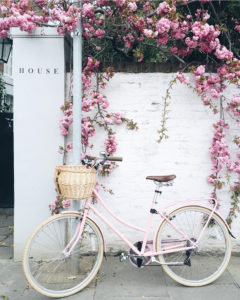 A2F Riding Bikes