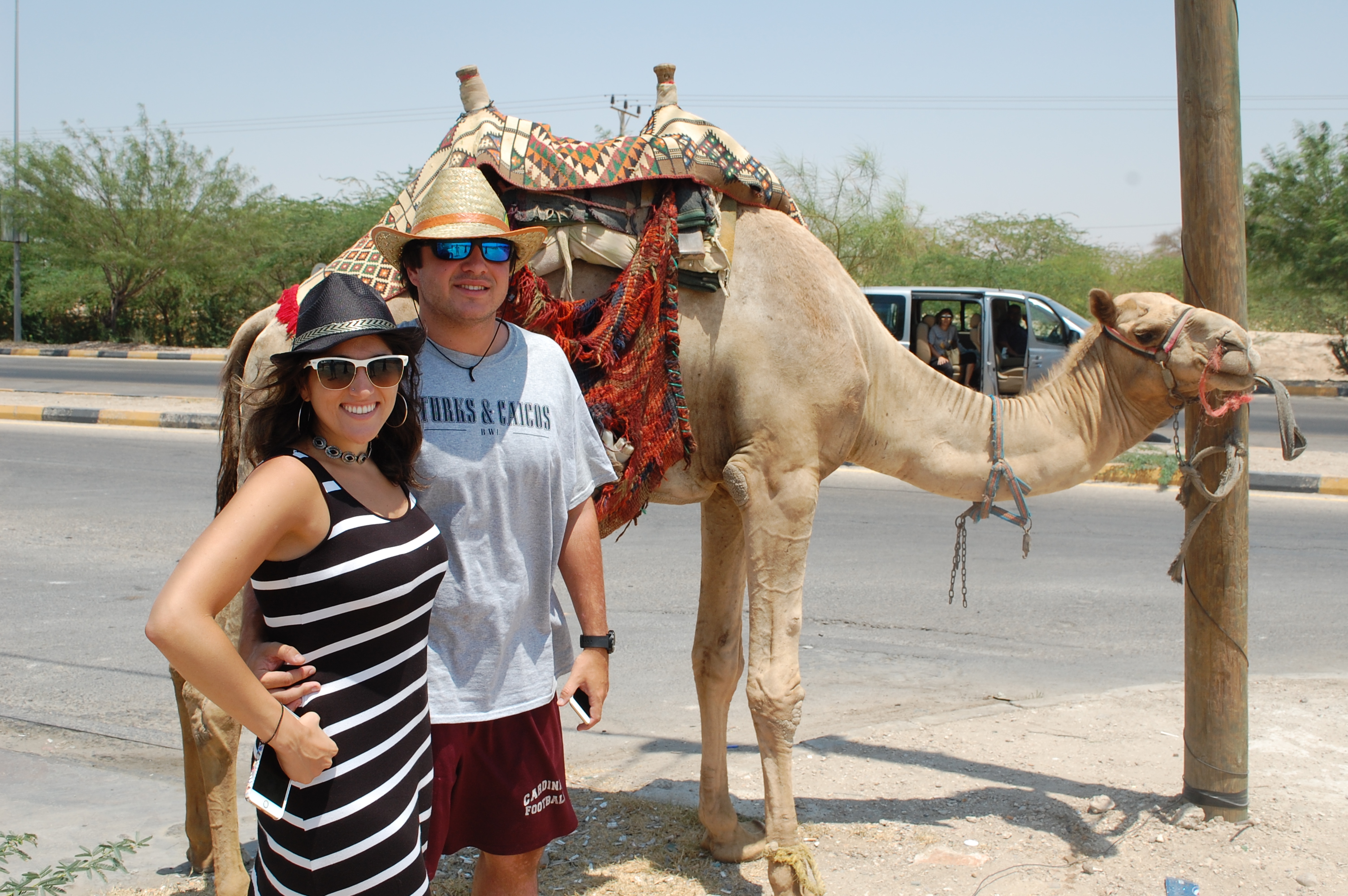 A2F Camel Ride 