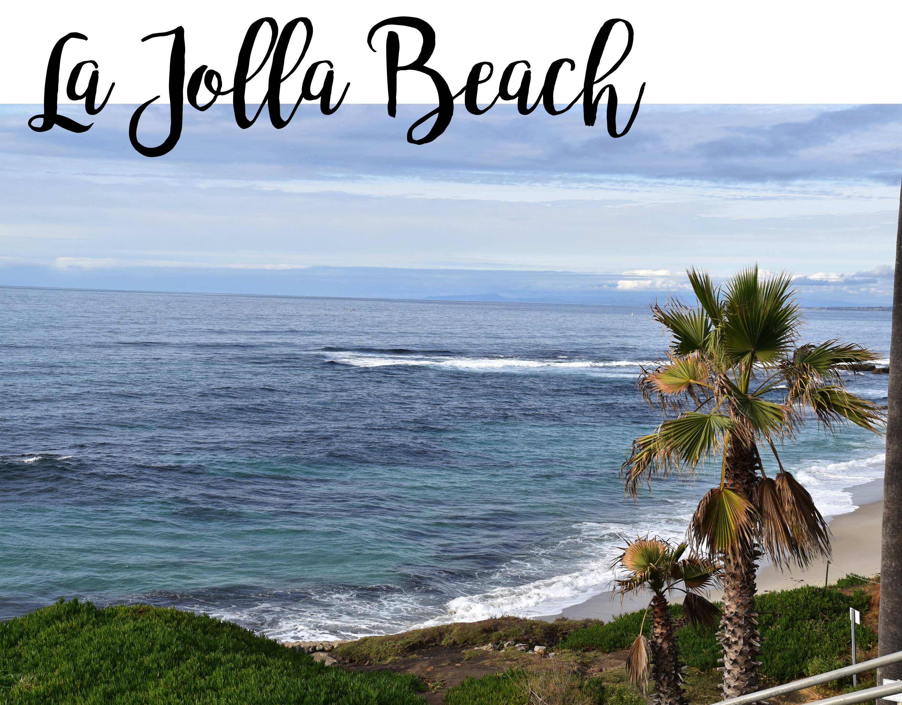 La Jolla beach