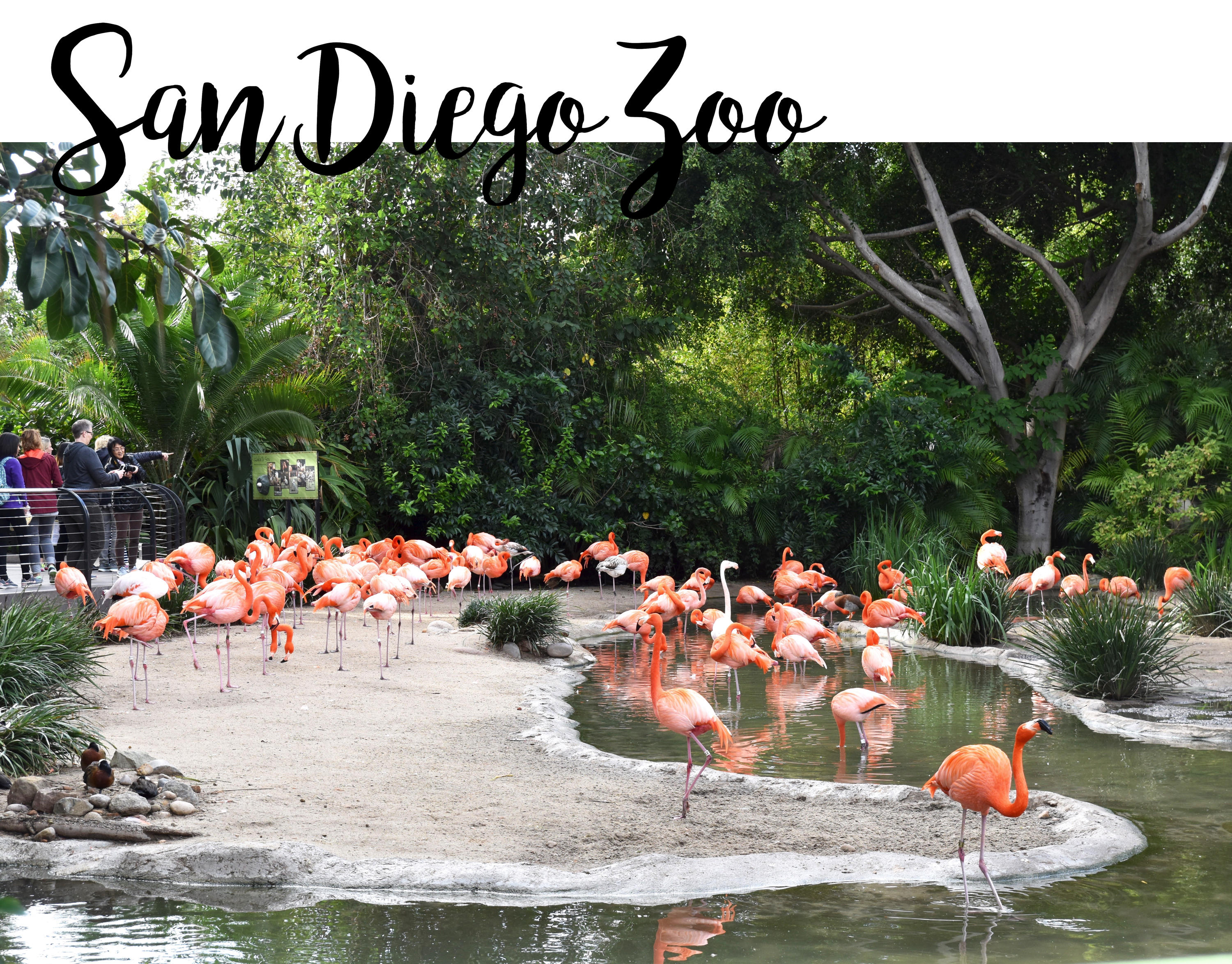 San Diego Zoo