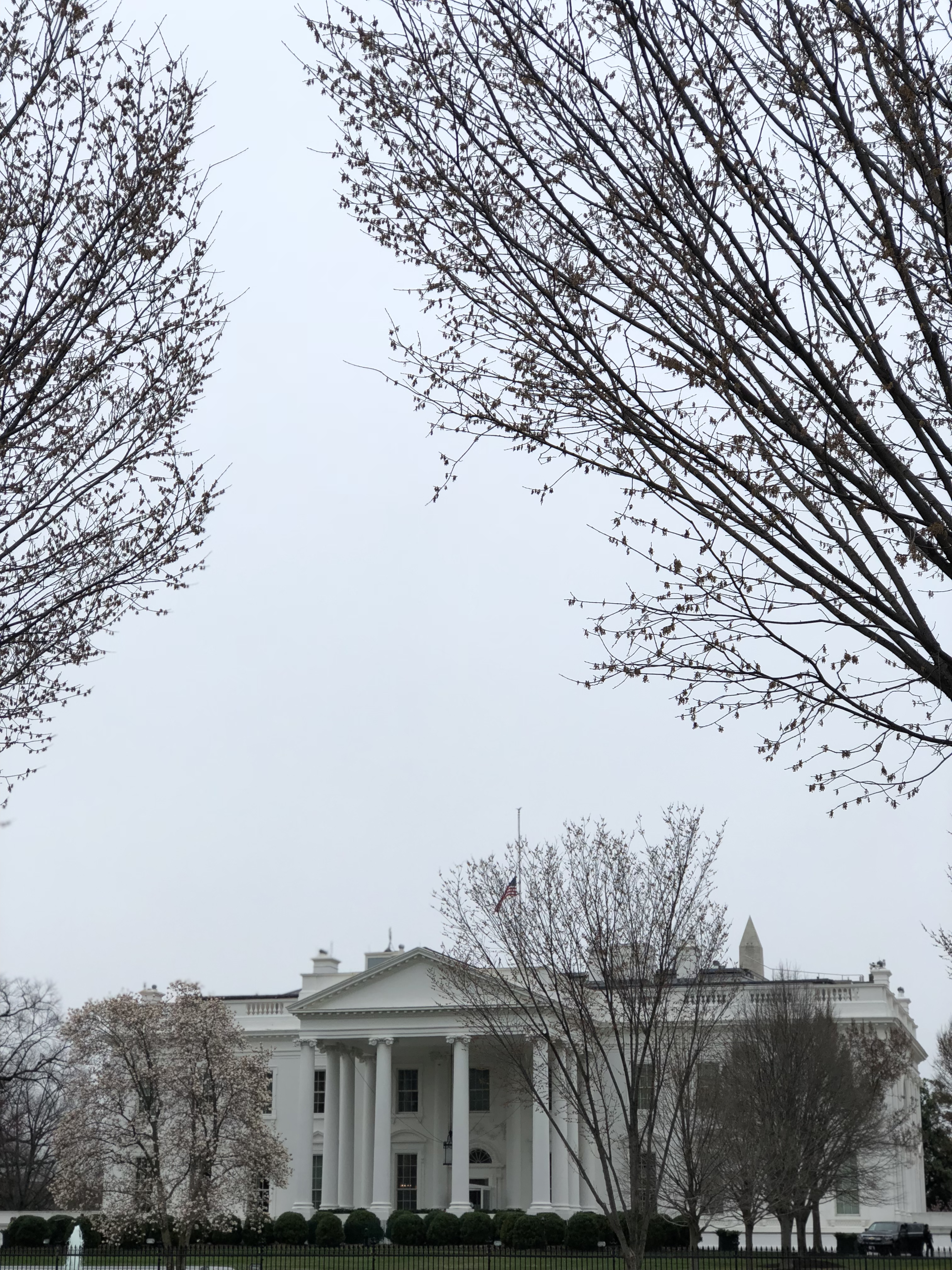 The White House