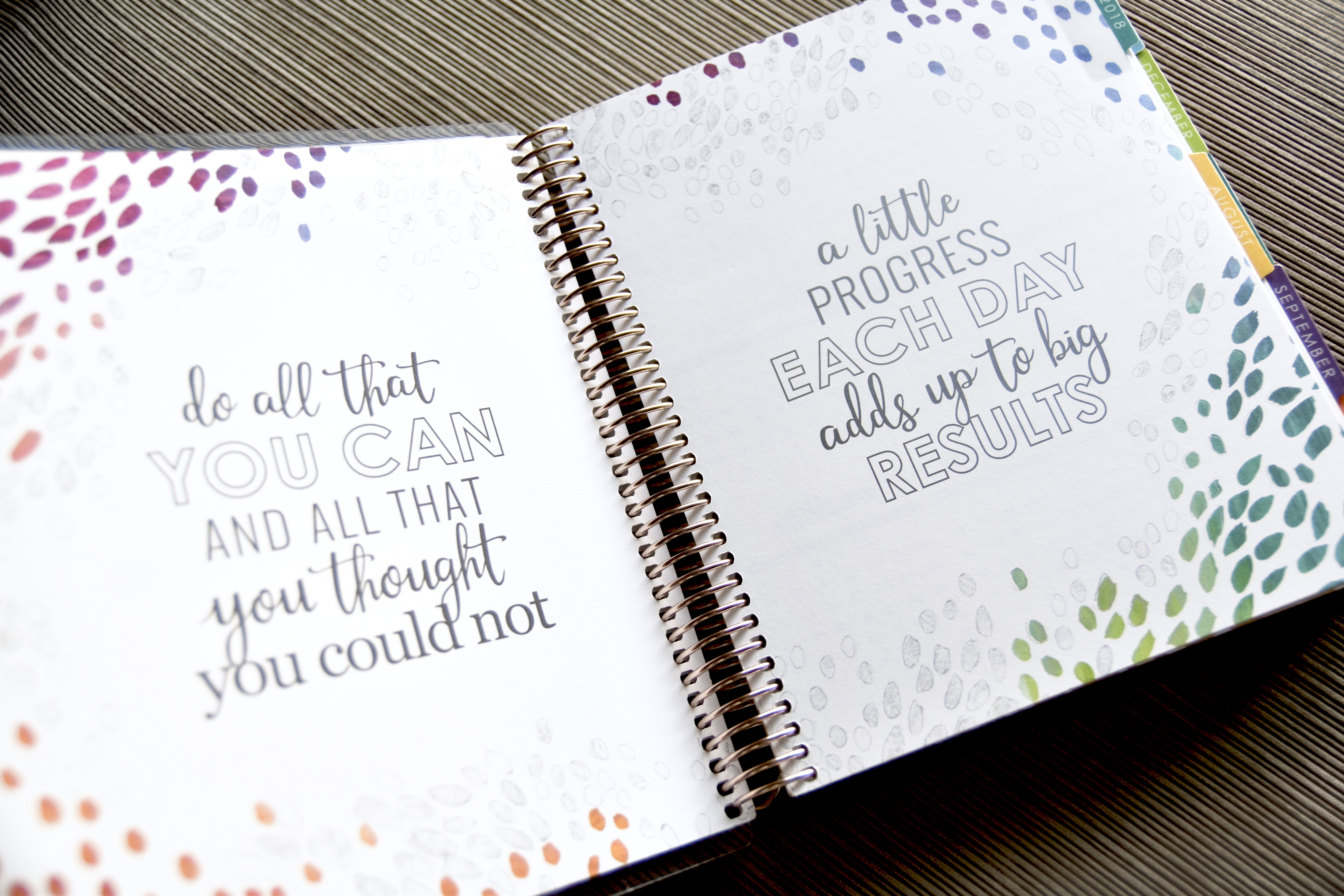 Colorful quotes on each page / Erin Condren agenda