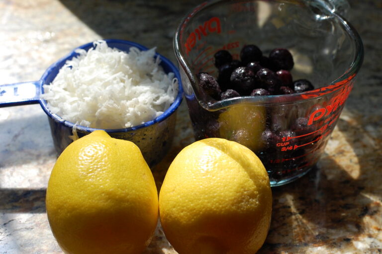 COCONUT BLUEBERRY CAKE