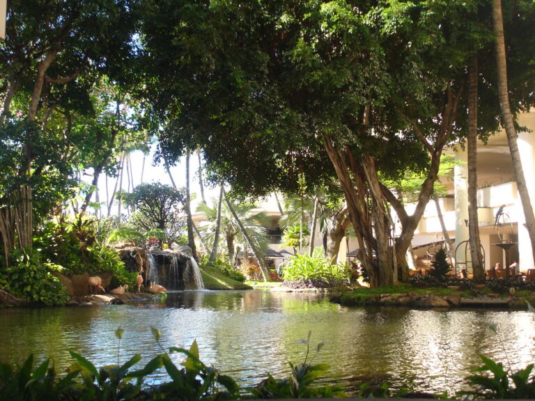 HAWAII