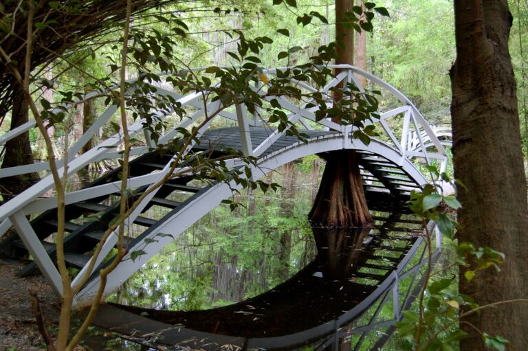 magnolia plantation