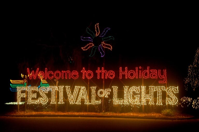The Holiday Festival of Lights