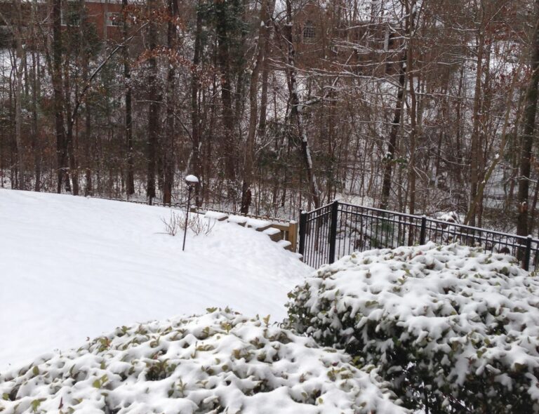 A Snow Day