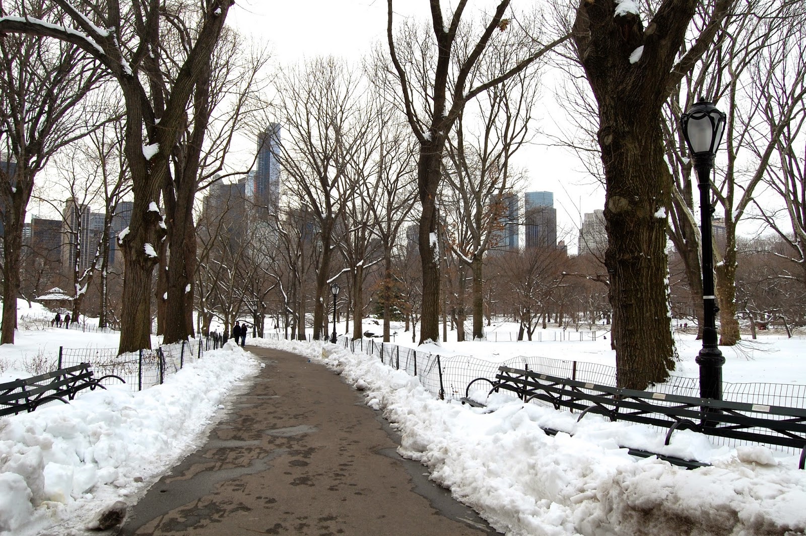 A2F Snow in Central Park