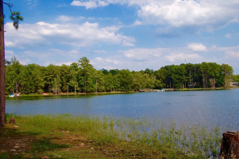 Lake Days