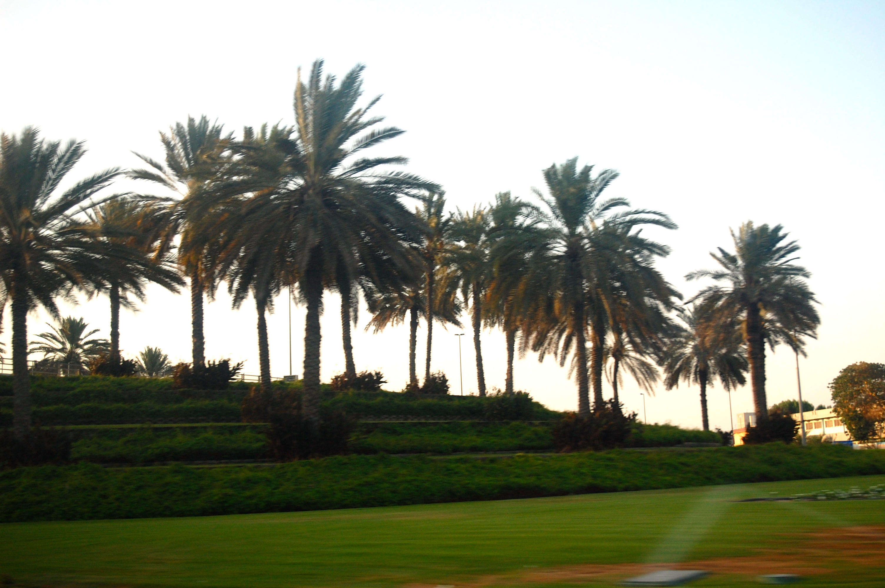 A2F Travels: Dubai 