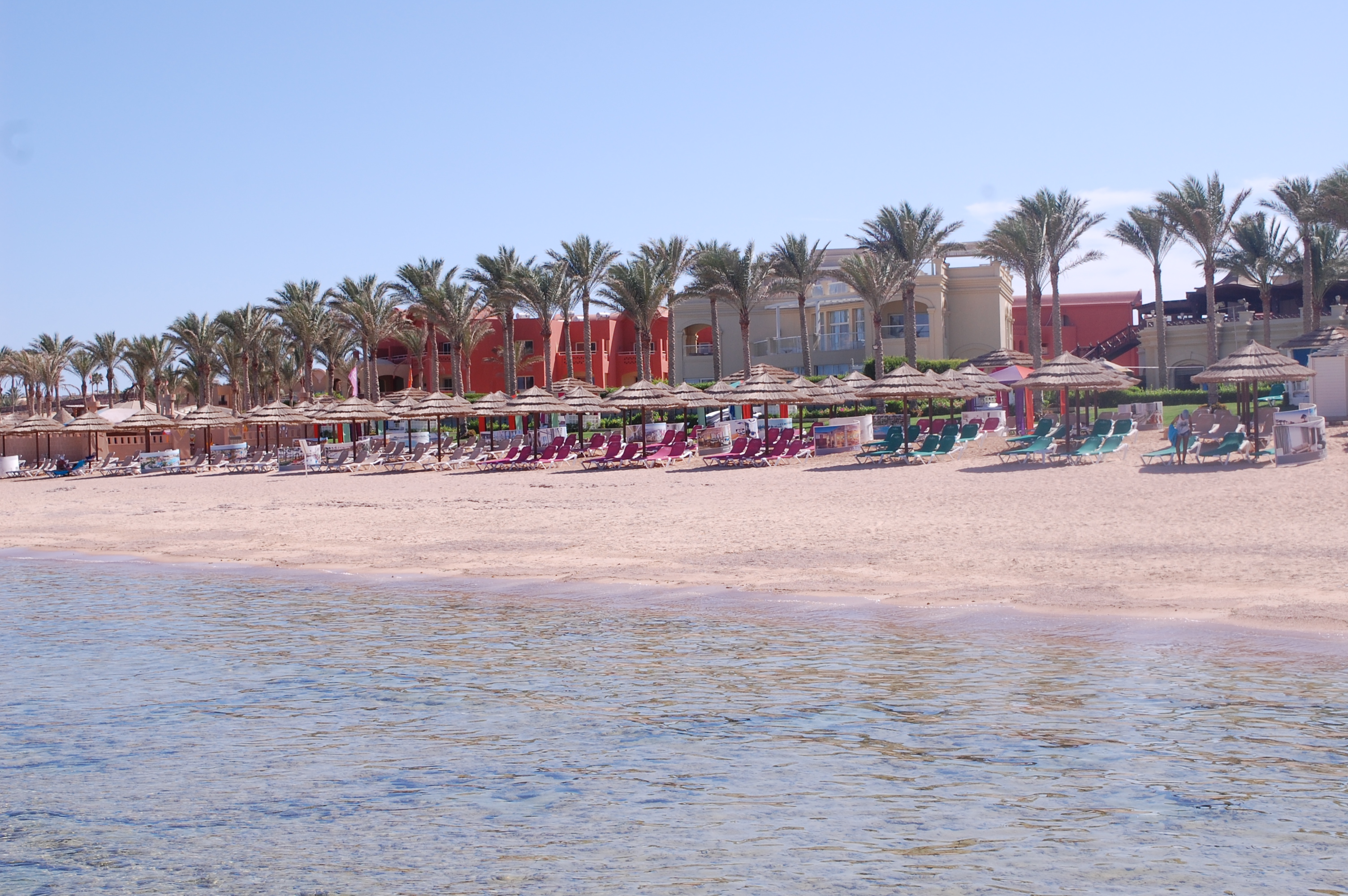 A2F Summer Travels: Egypt 1