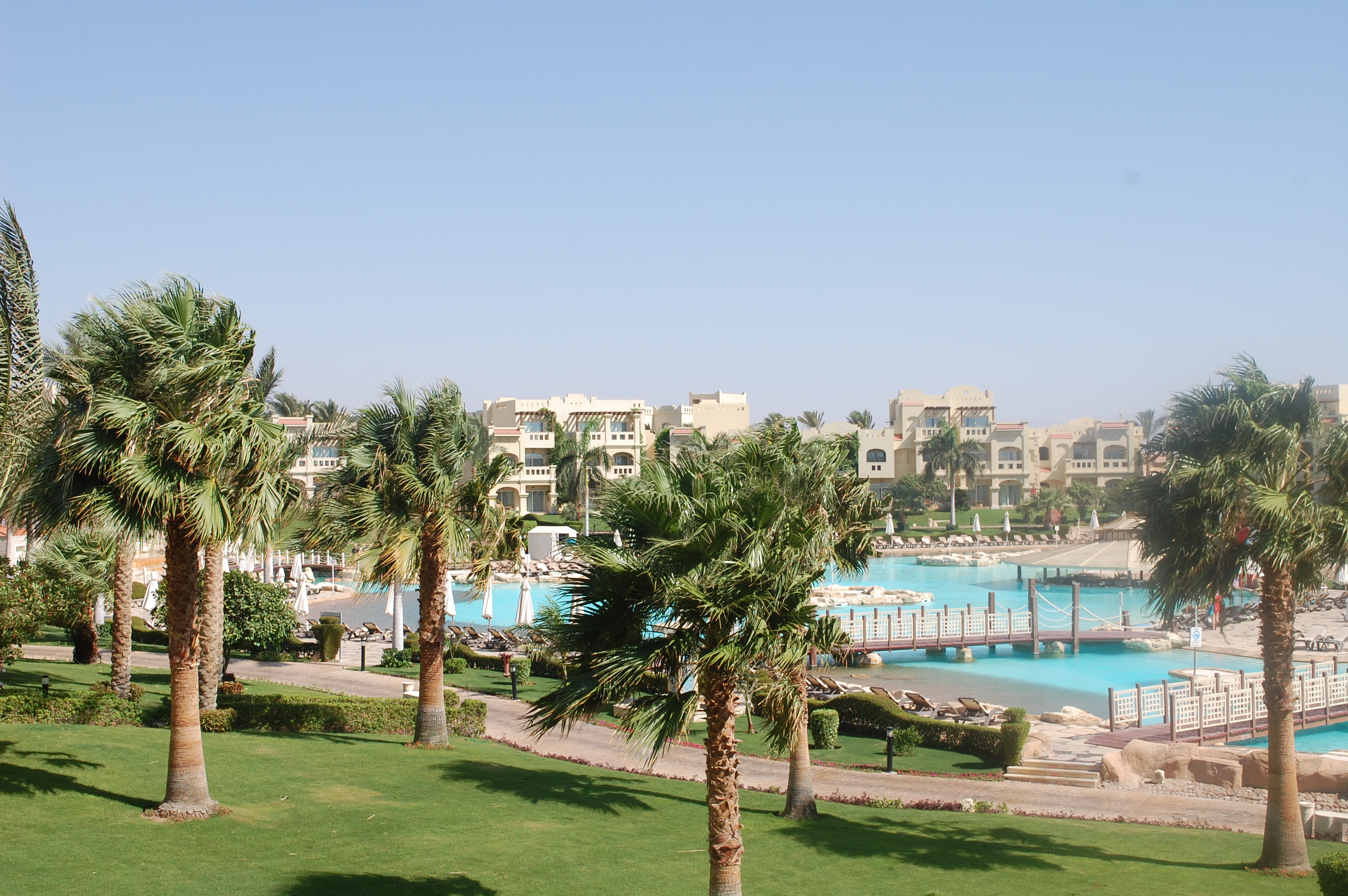 A2F Summer Travels: Egypt 4