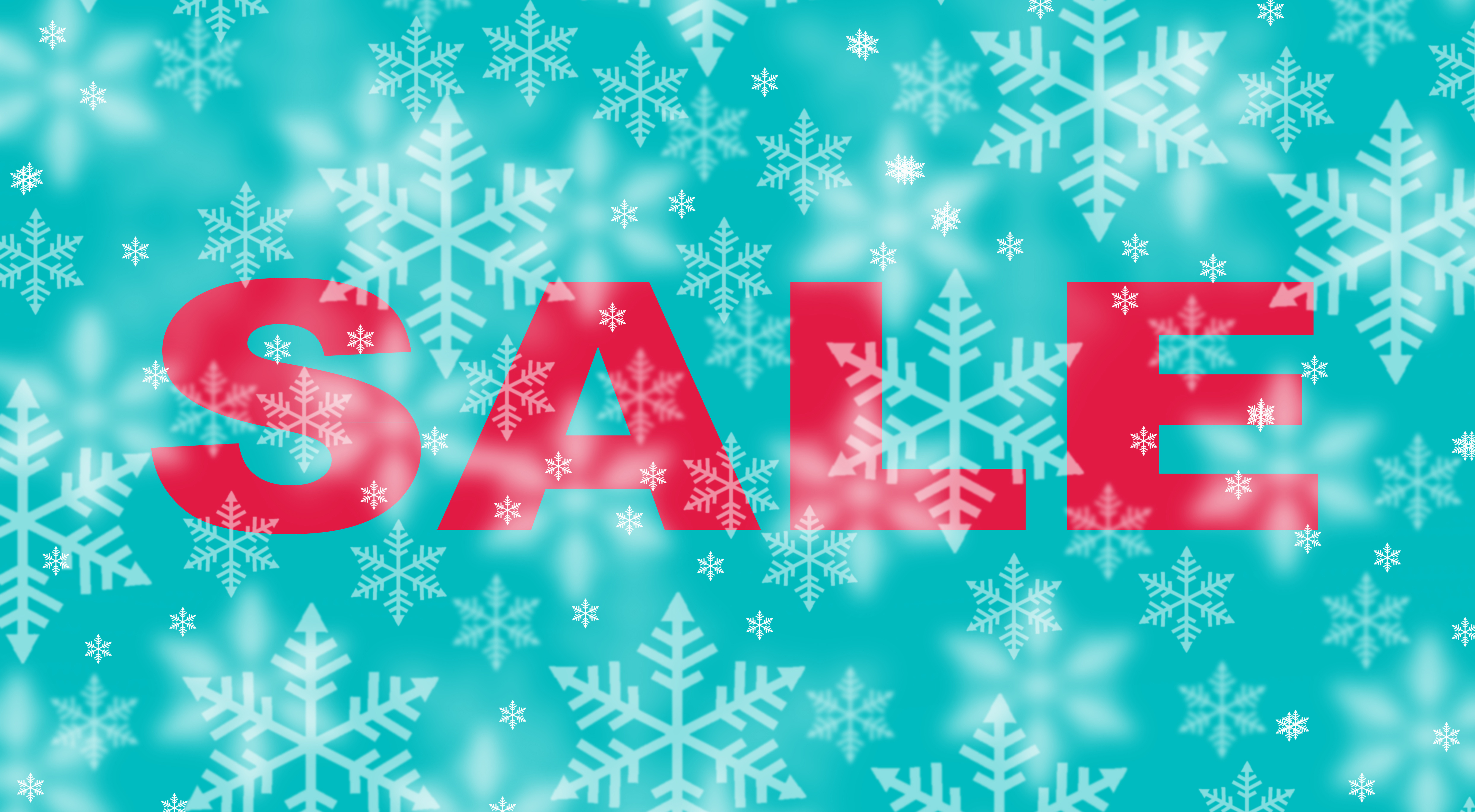 A2F Snow Day Sale Feature Image