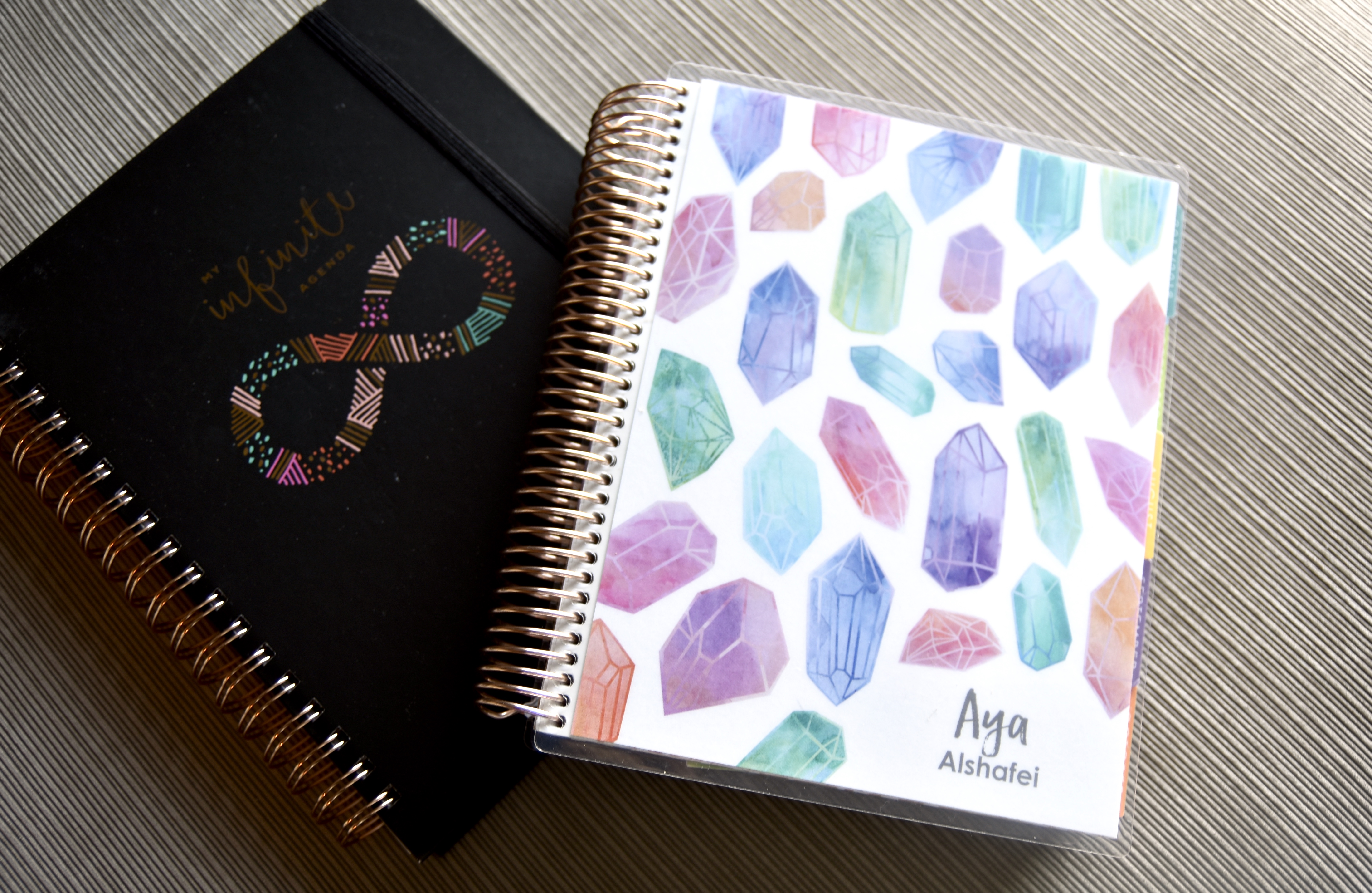 The Infinite Agenda & Custom Erin Condren